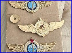 Authentic USSR Russian Space Forces Wings Military Cosmonaut Space Divisions